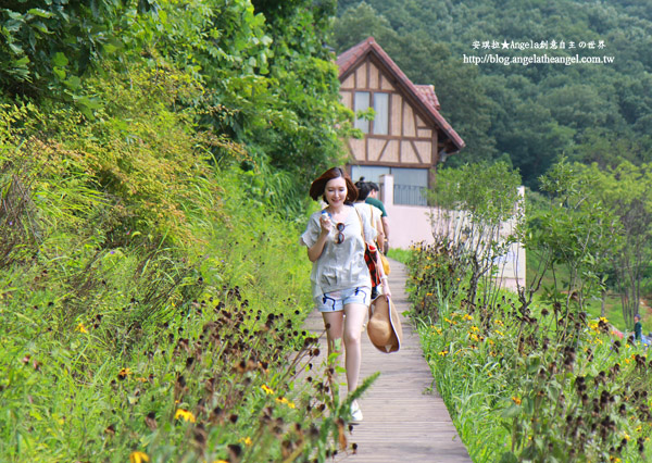 sIMG_0221-1