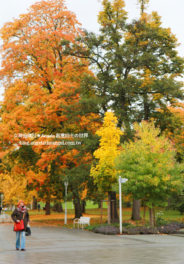 sIMG_3056