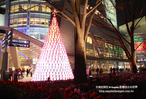 sIMG_0424