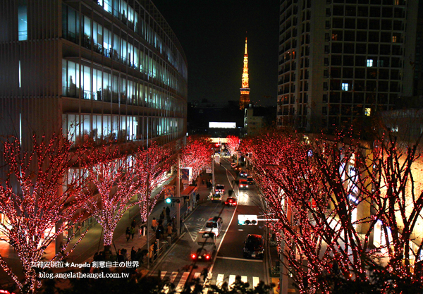 sIMG_0439