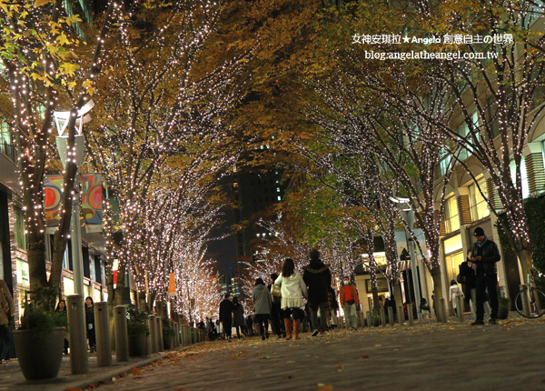 sIMG_0711