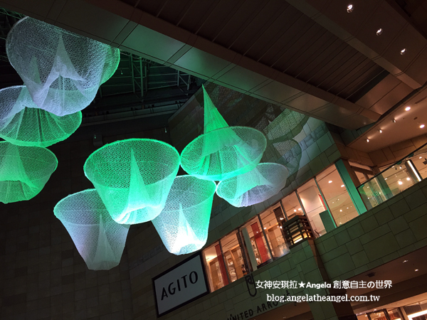 sIMG_3684